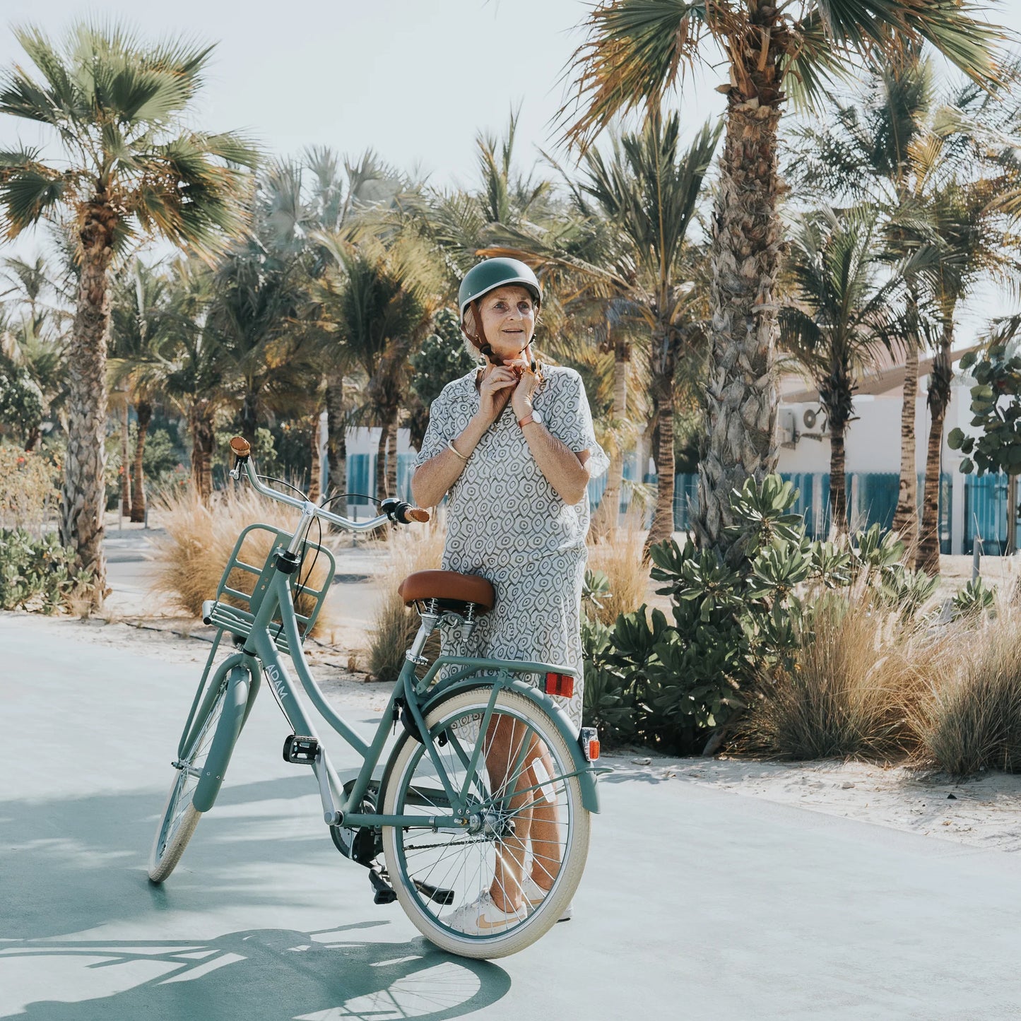 The Dutch Style Deluxe  26" Adult Bike
