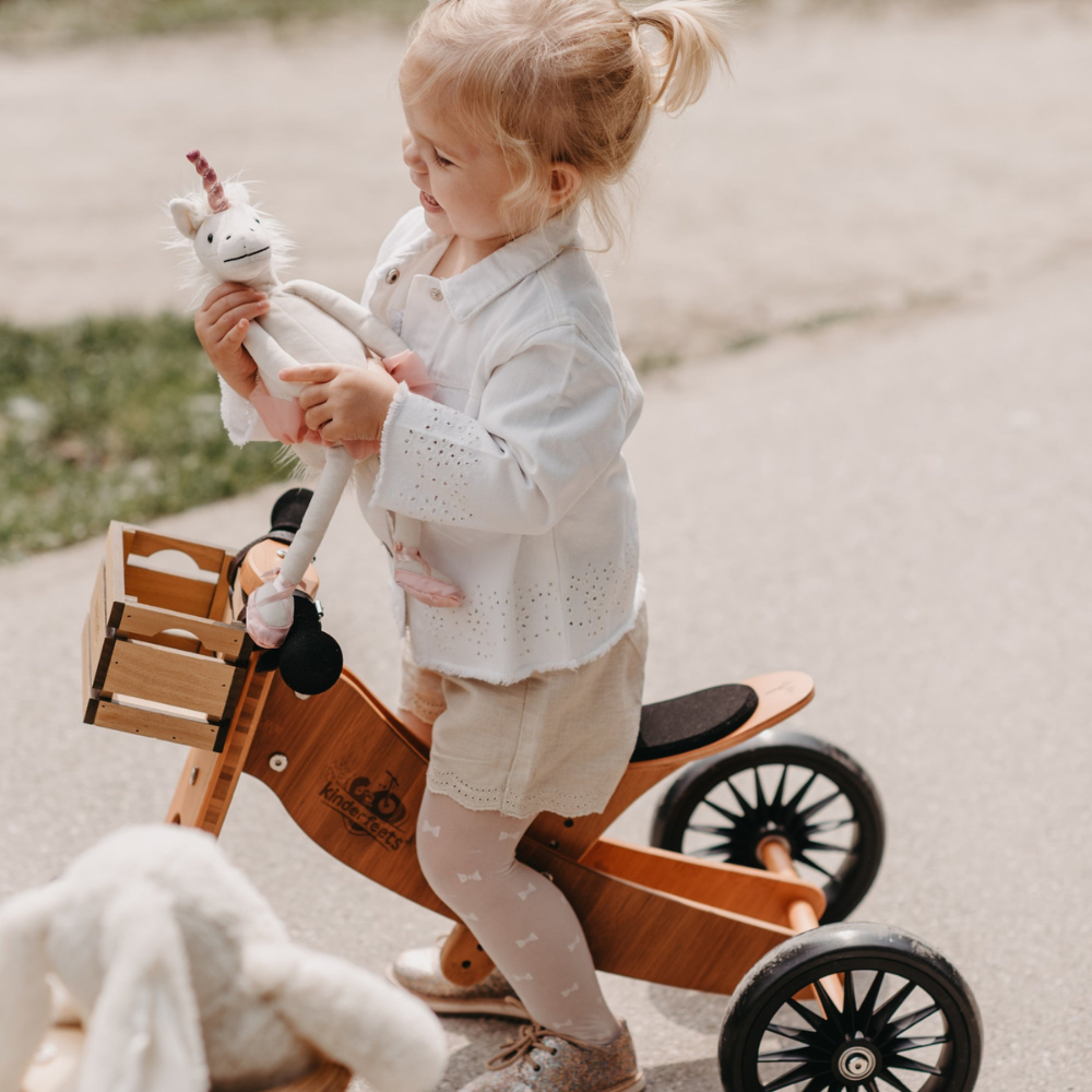 2-in-1 Tiny tot PLUS tricycle + balance bike (18 months-4 years old)-Bamboo