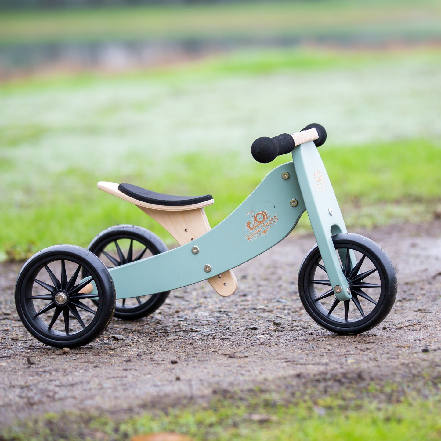 2-in-1 Tiny tot tricycle + balance bike (1-2 years old)-Sage