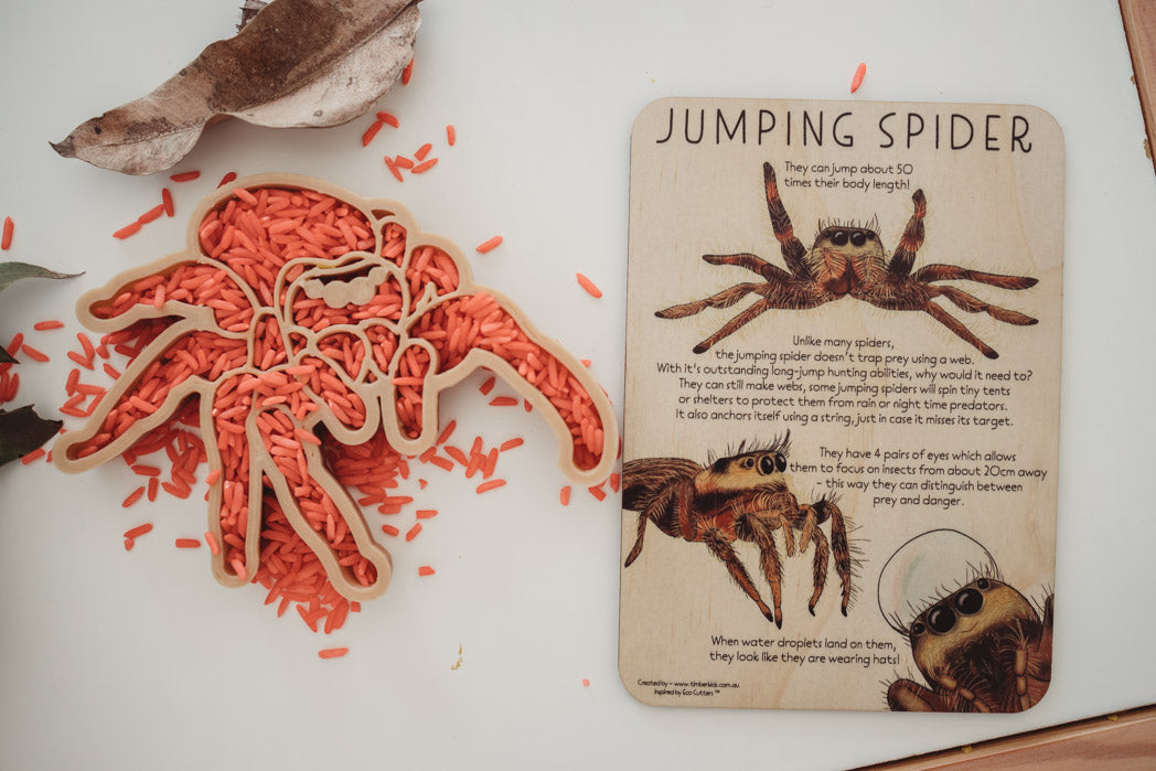 Jumping spider biodegradable dough eco cutter