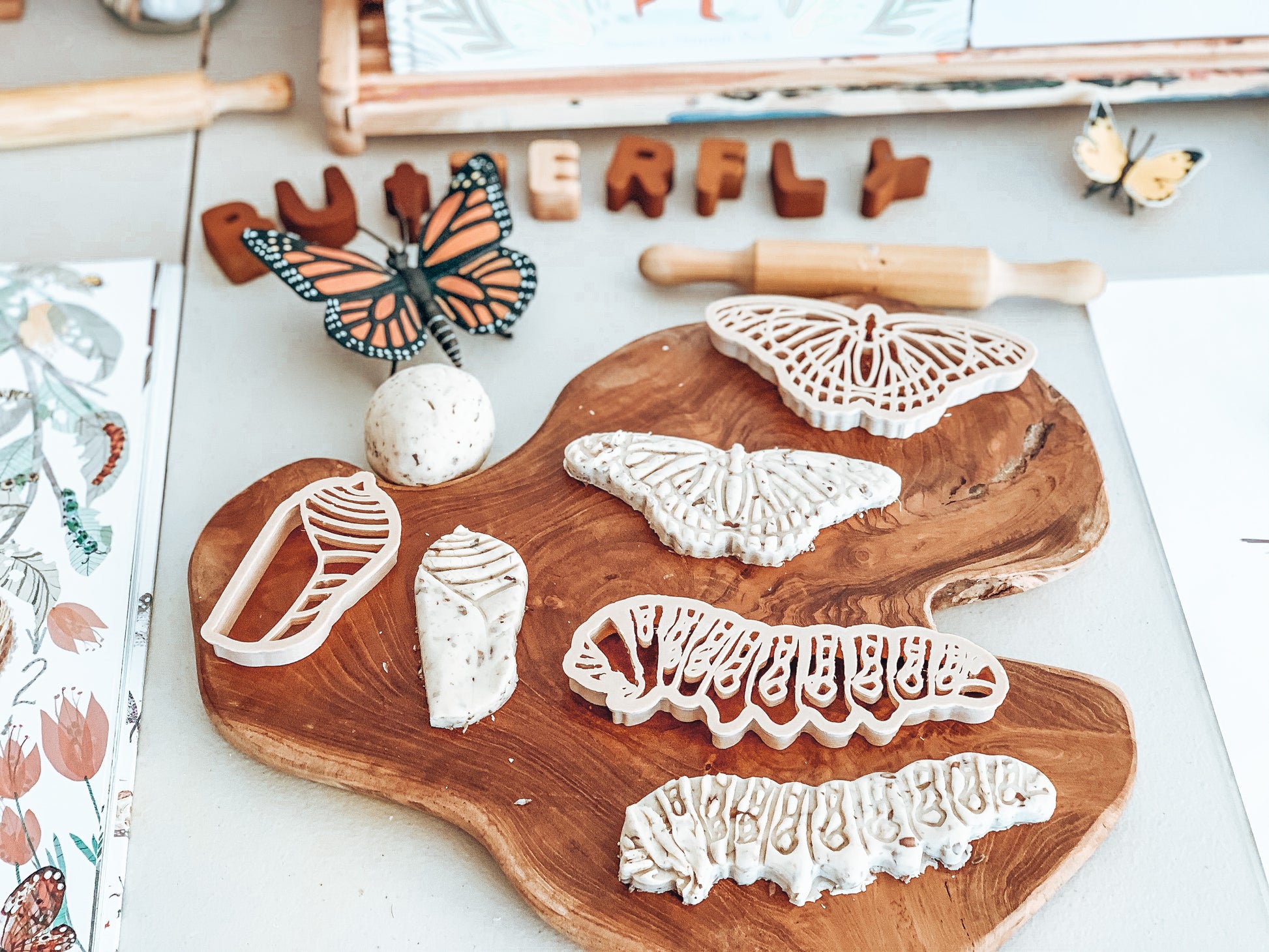 Monarch butterfly life cycle biodegradable dough eco cutter set