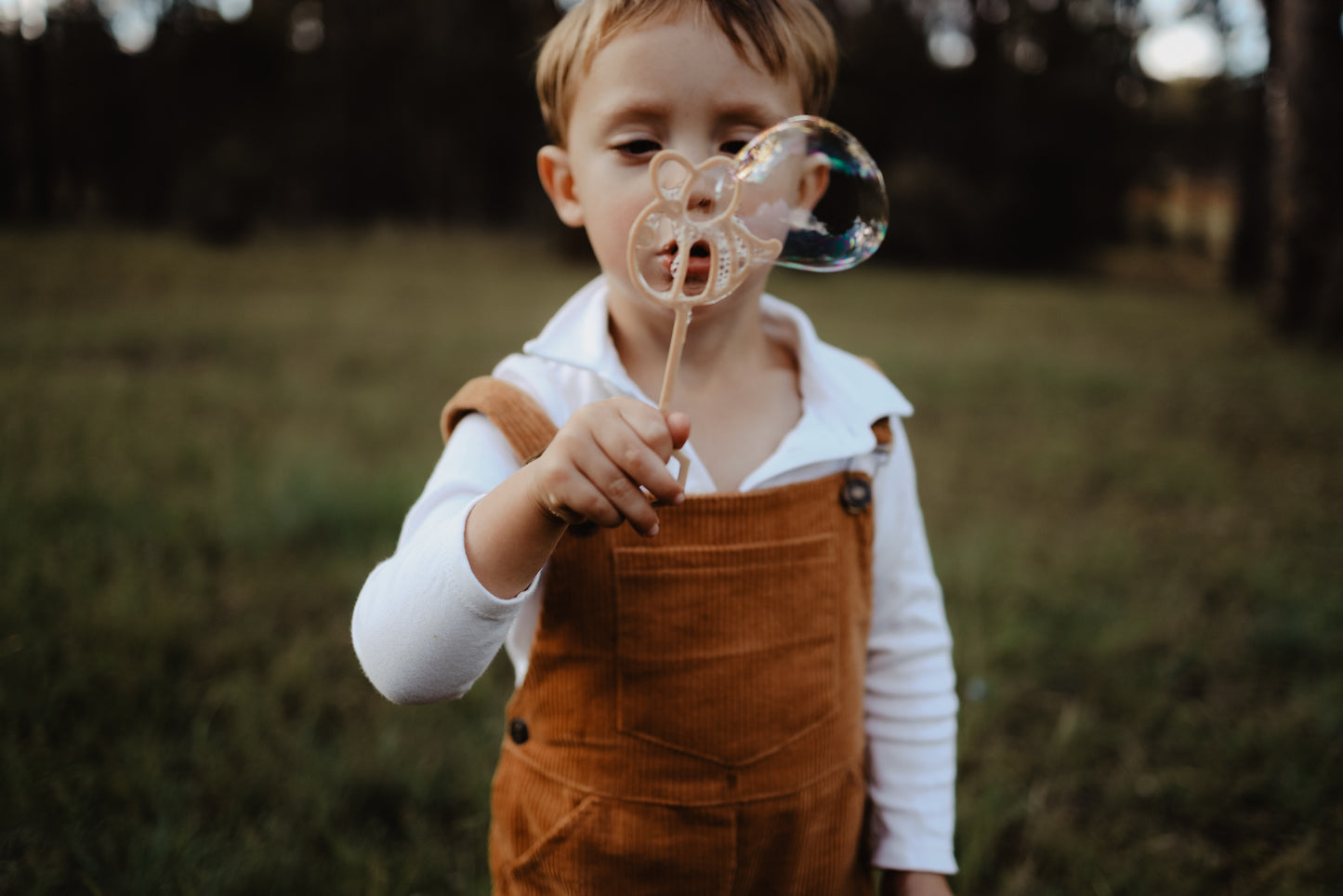 Bee biodegradable eco bubble wand