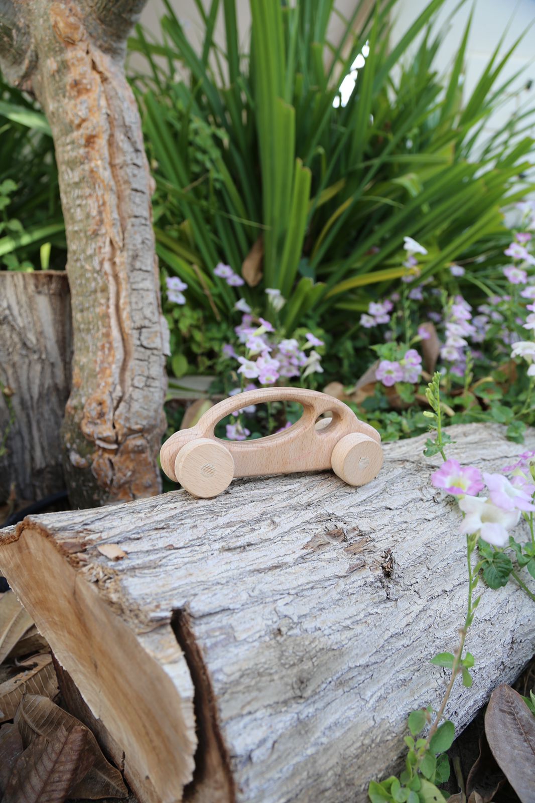 Bubble wooden toy car