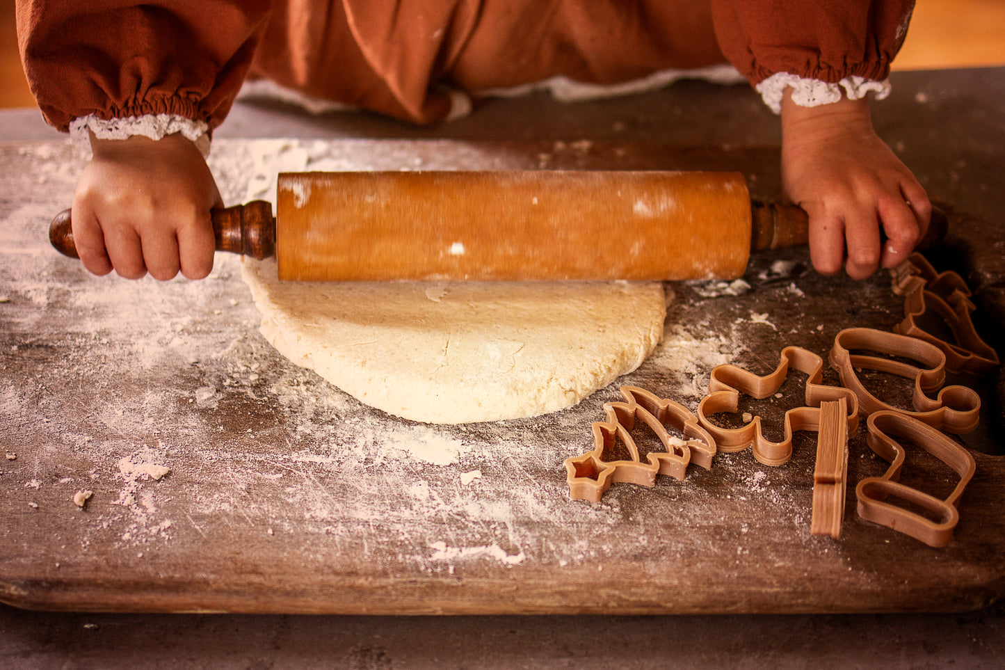 Christmas biodegradable dough eco cutter set