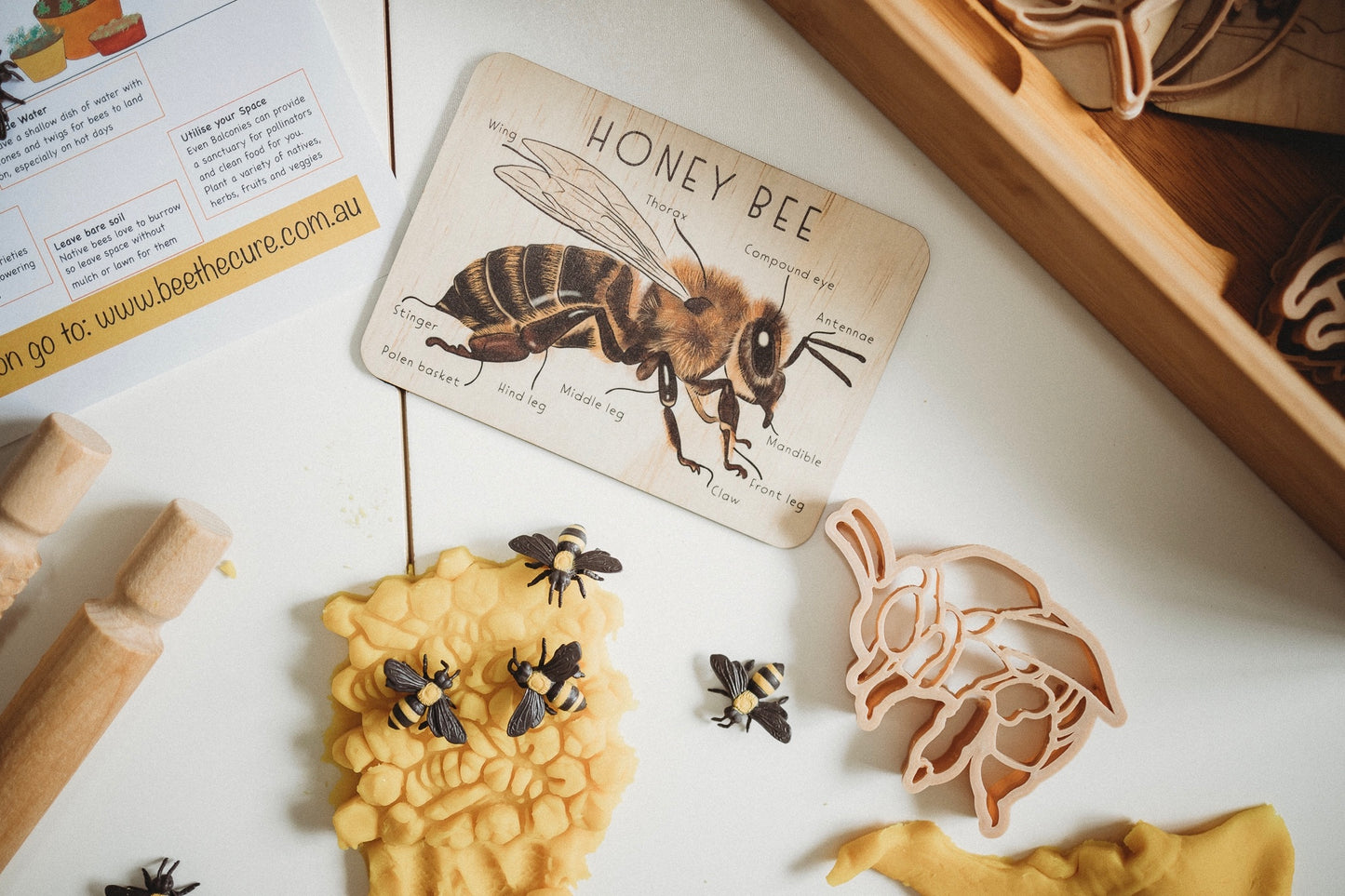 Bee & honey comb biodegradable dough eco cutter set