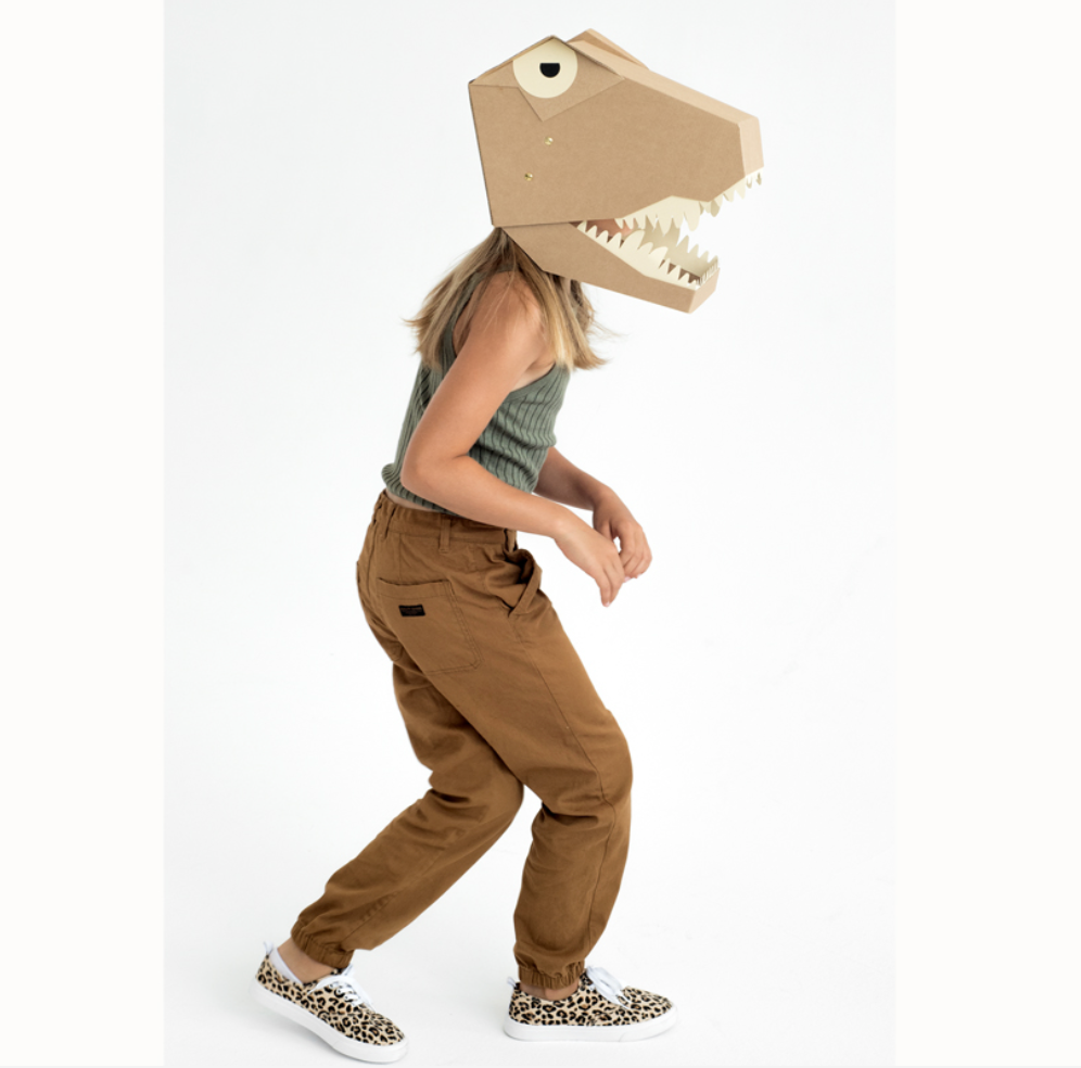 DIY T-Rex cardboard costume activity box