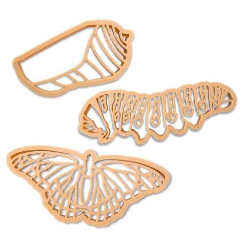 Monarch butterfly life cycle biodegradable dough eco cutter set