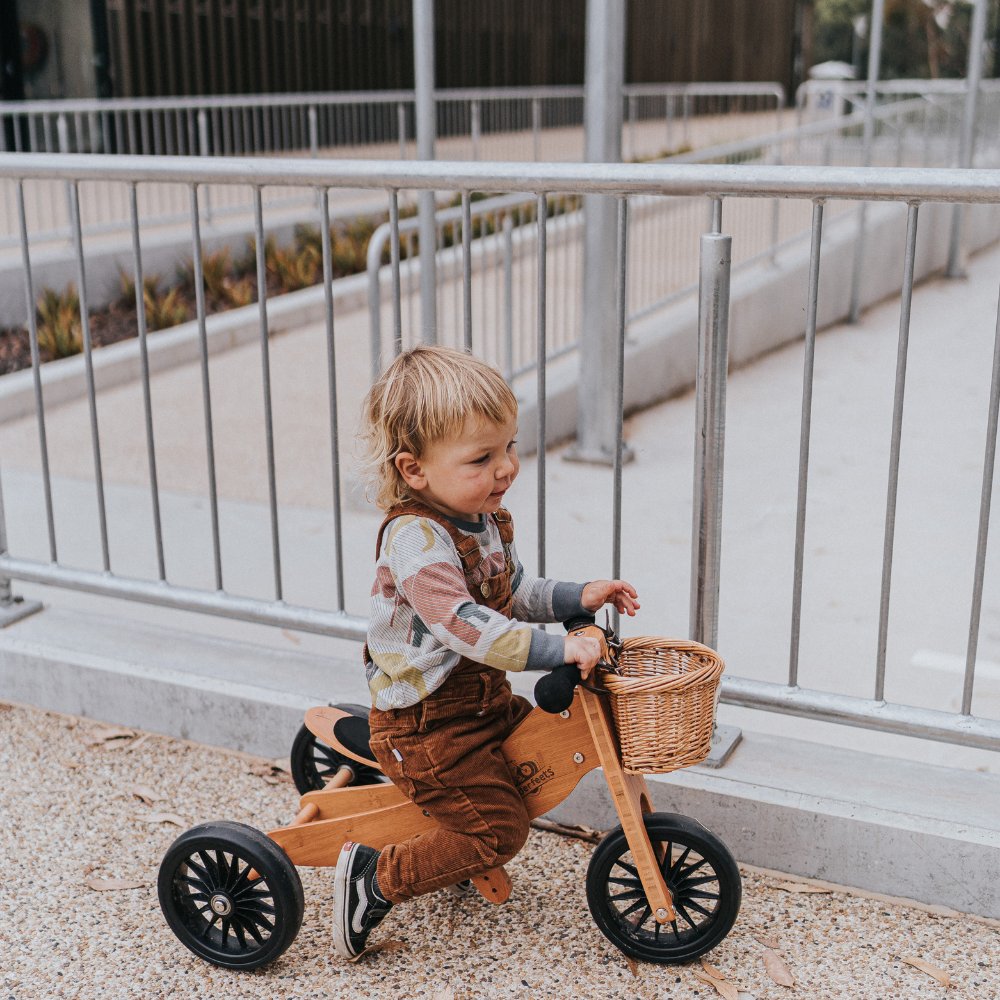 2-in-1 Tiny tot tricycle + balance bike (1-2 years old)-Bamboo