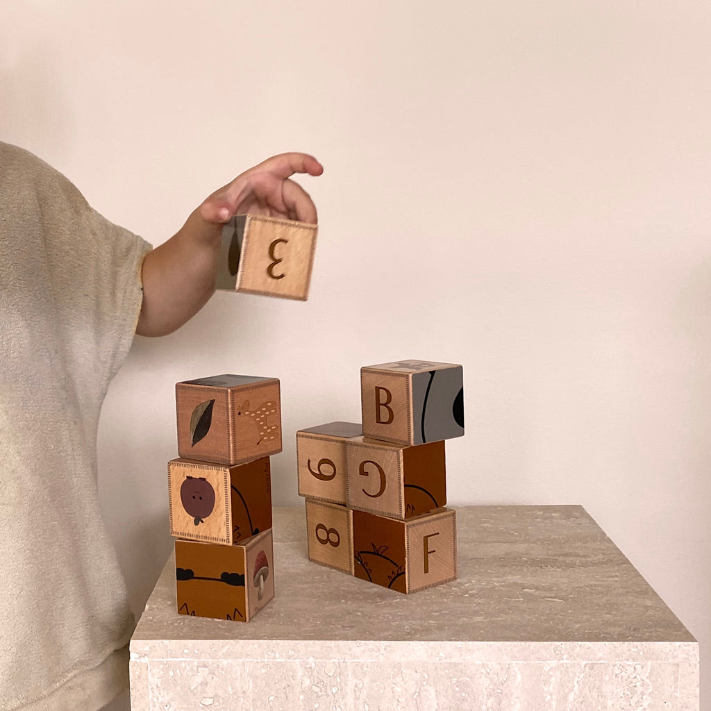 Animal wooden blocks and cube puzzle